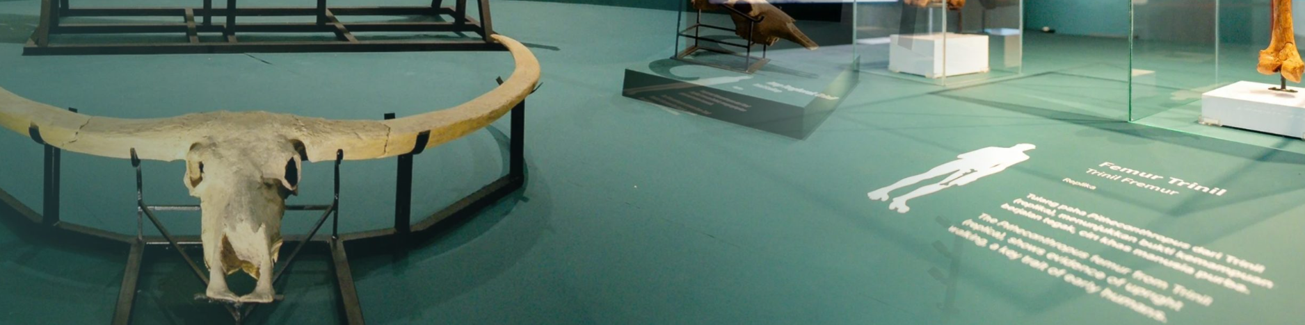 Museum Adityawarman